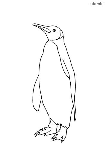 Penguins coloring pages free printable penguin coloring sheets