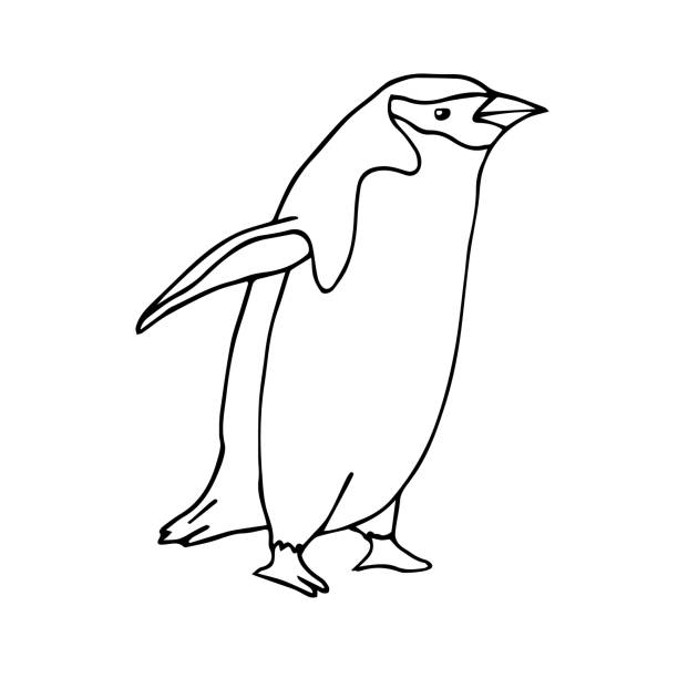 Penguin beak stock illustrations royalty