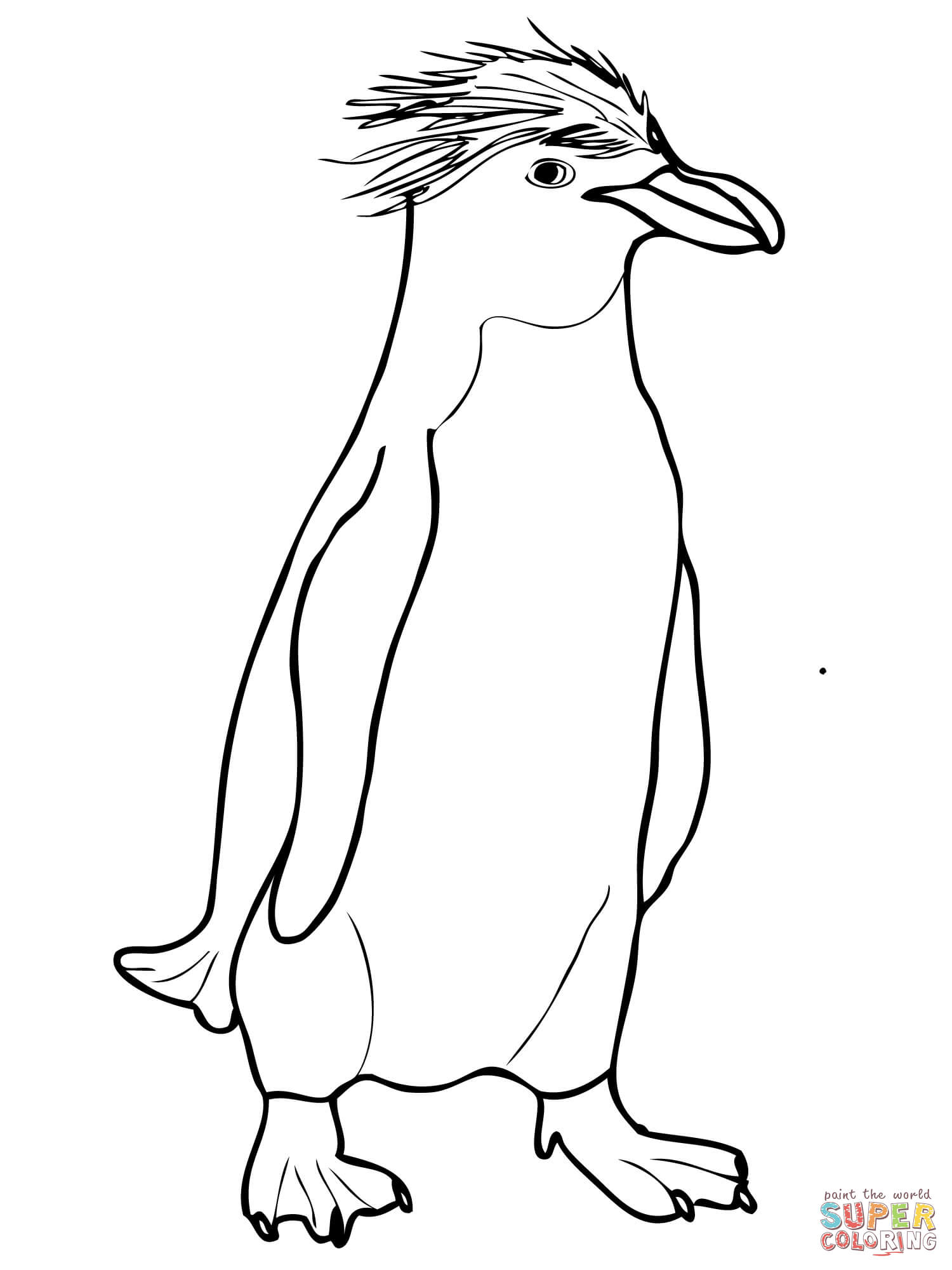 Macaroni crested penguin coloring page free printable coloring pages