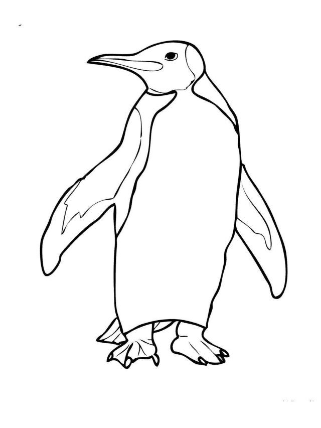 Marvelous photo of penguin coloring page