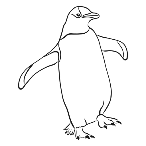 Penguin wing beak sketch png svg design for t