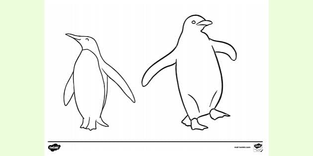 Penguin colouring page colouring sheets teacher made