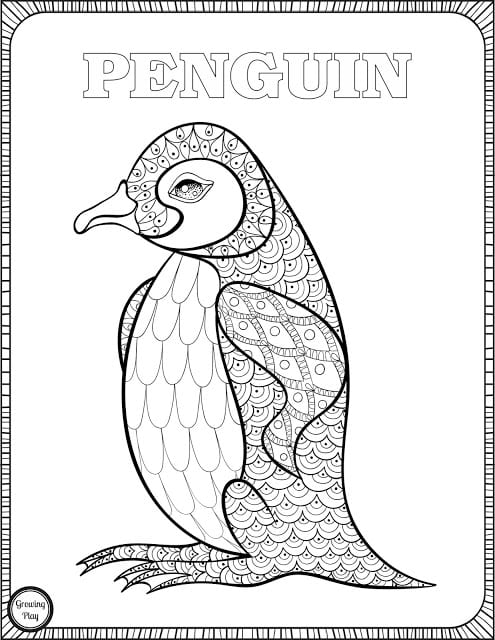 Penguin coloring page from animal coloring pages