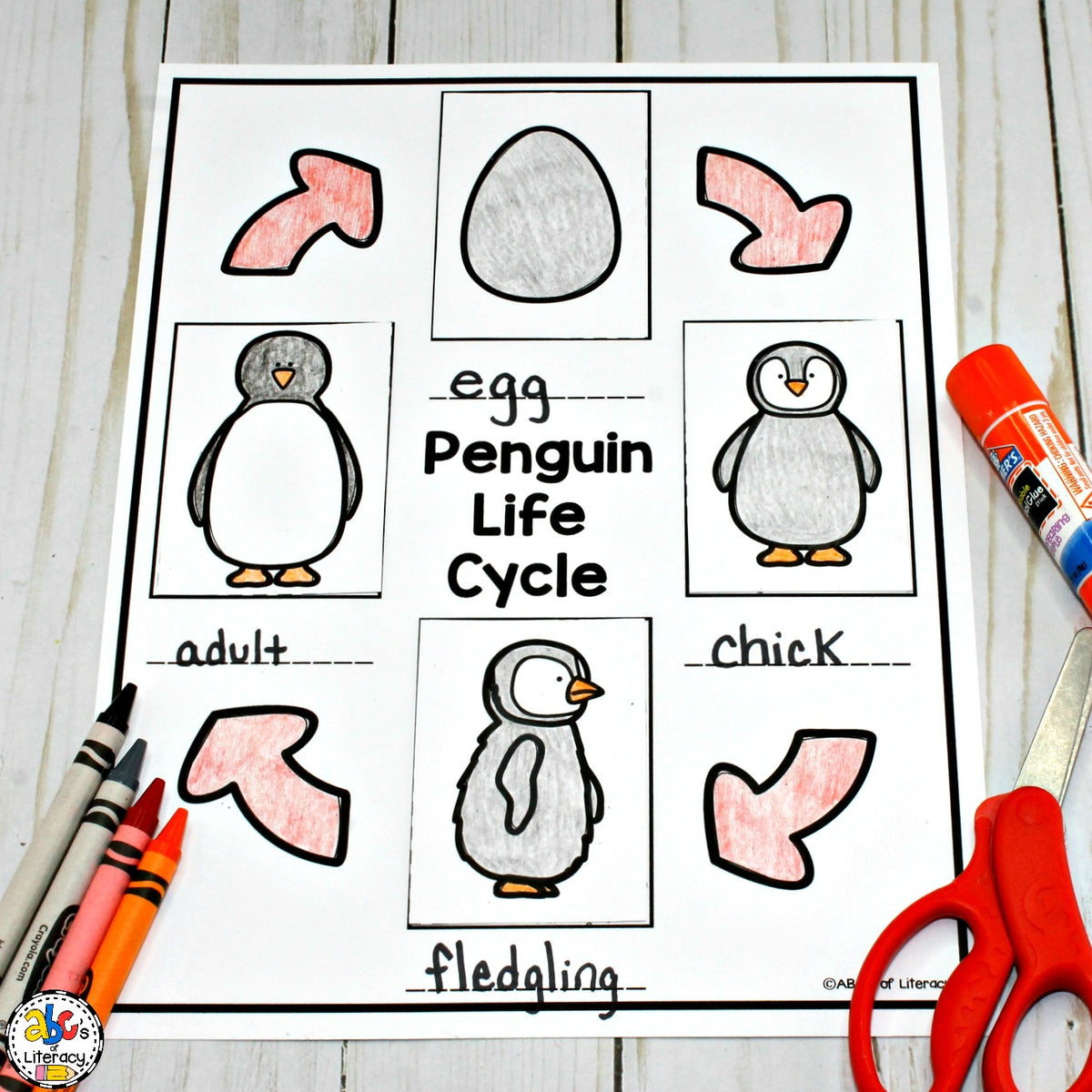 Penguin activities â abcs of literacy