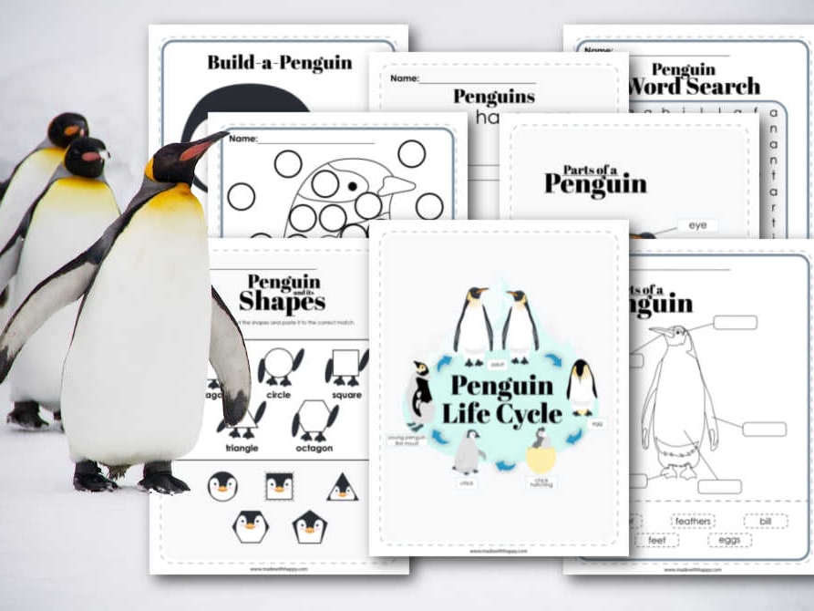 Penguin life cycle