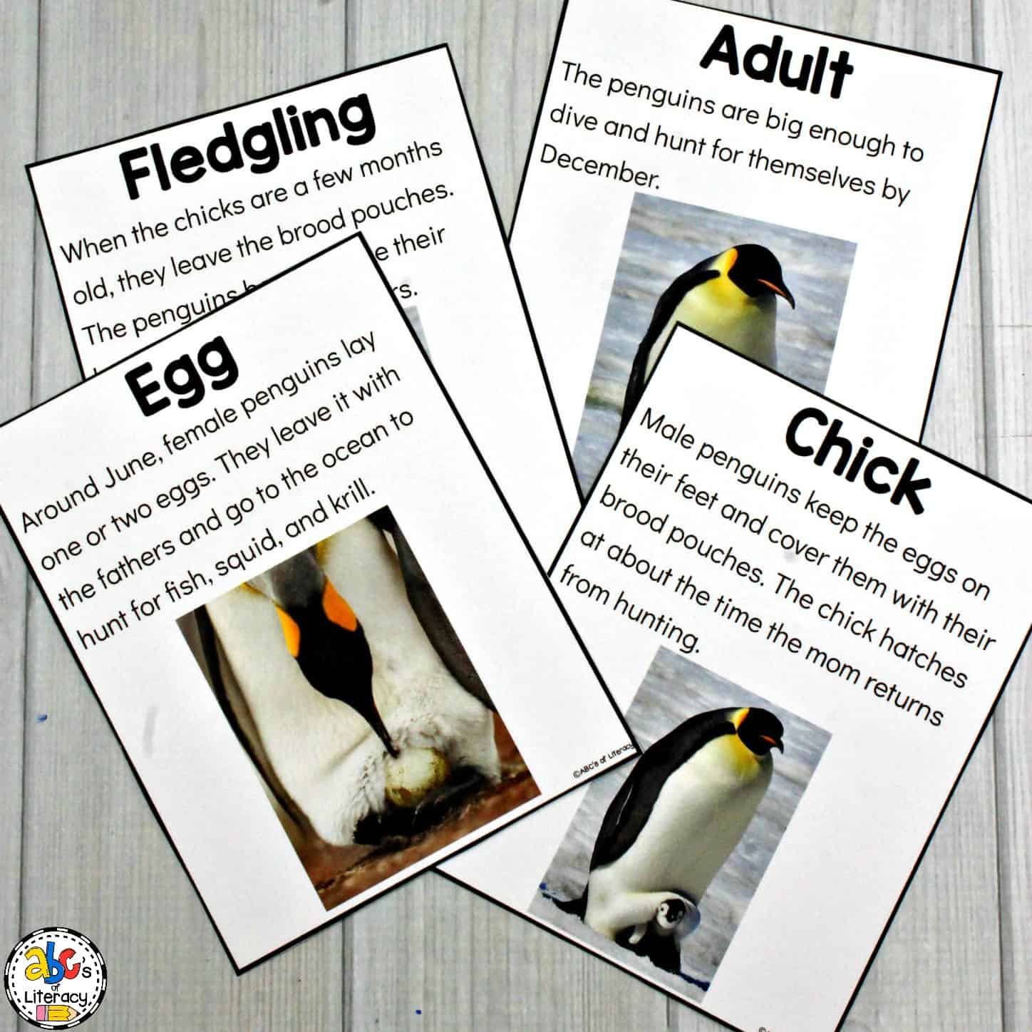 Penguin activities for a winter animal unit of mini