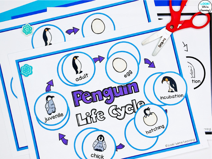 Penguin life cycle sequencing activity for kids