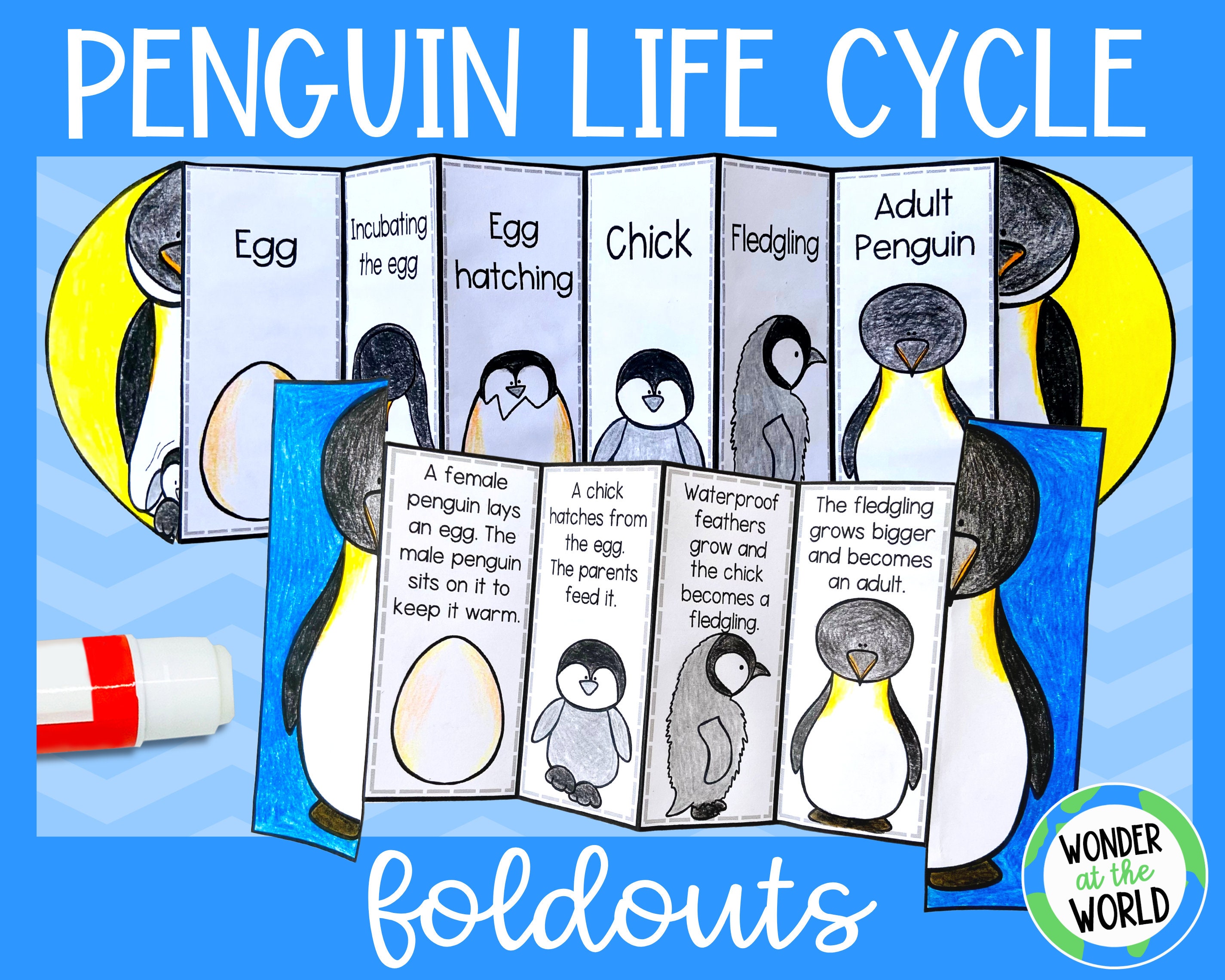 Life cycle of a penguin foldable kids craft activity a and x inch digital download science cut and paste