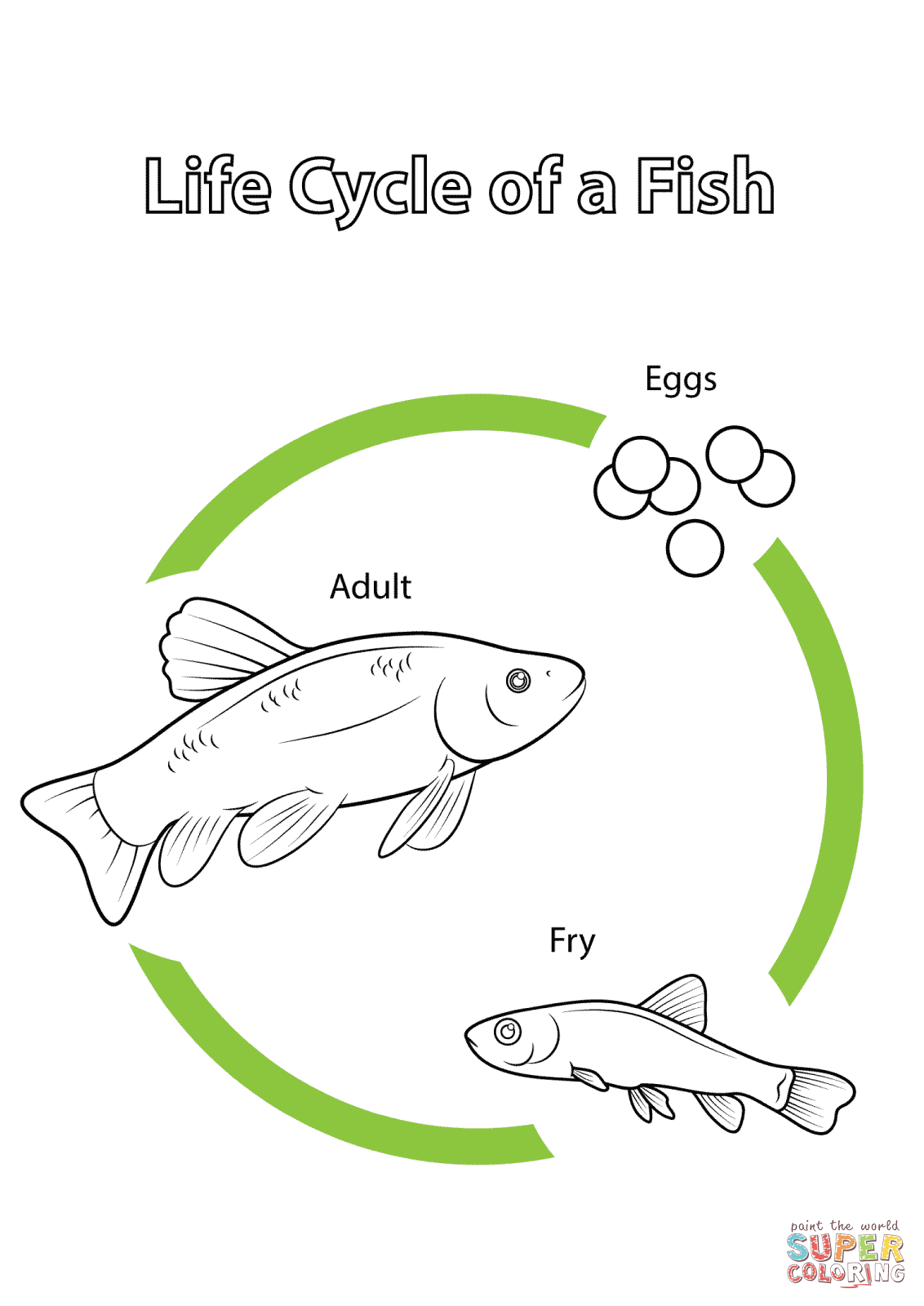 Life cycle of a fish coloring page free printable coloring pages