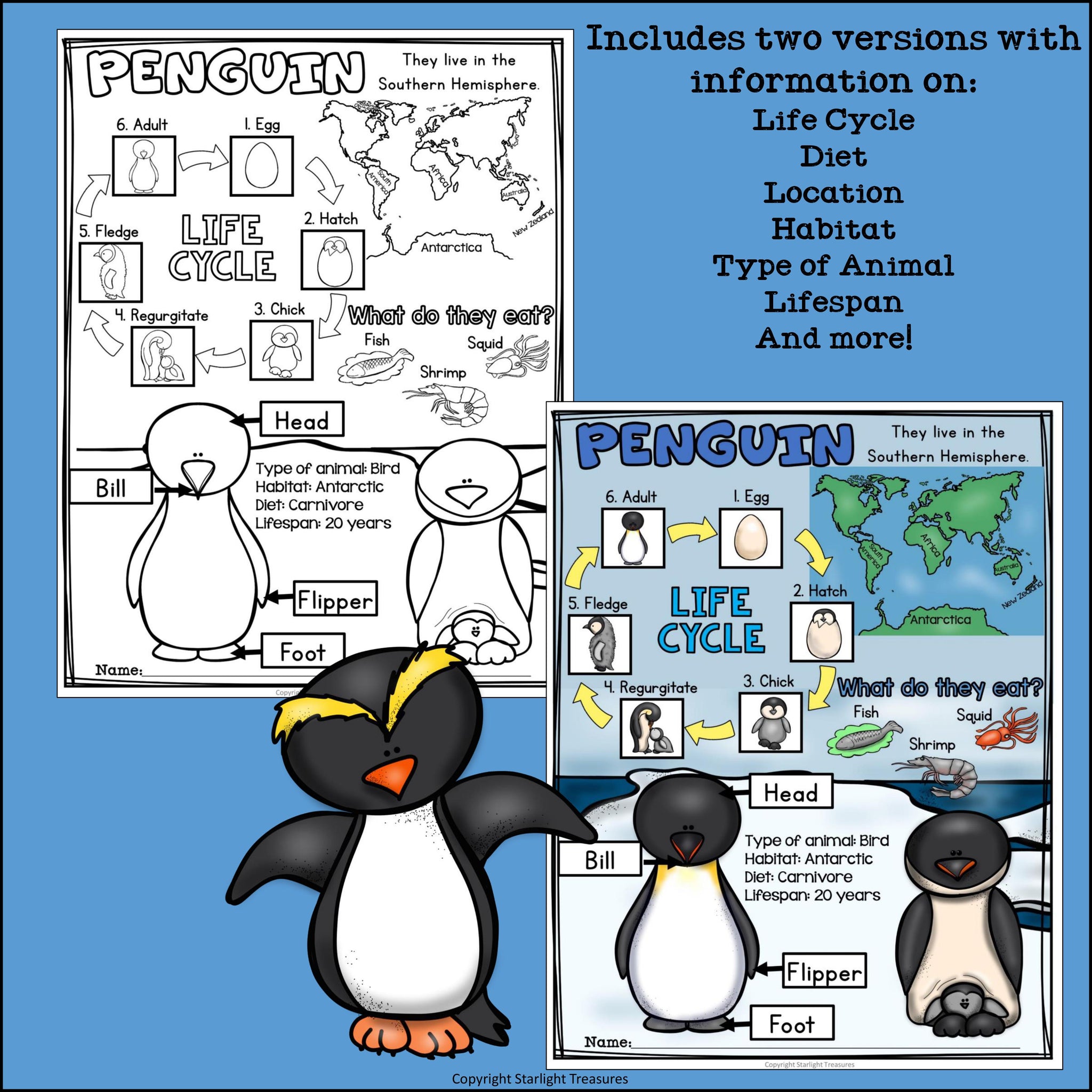 Penguin fact sheet for early readers â starlight treasures llc