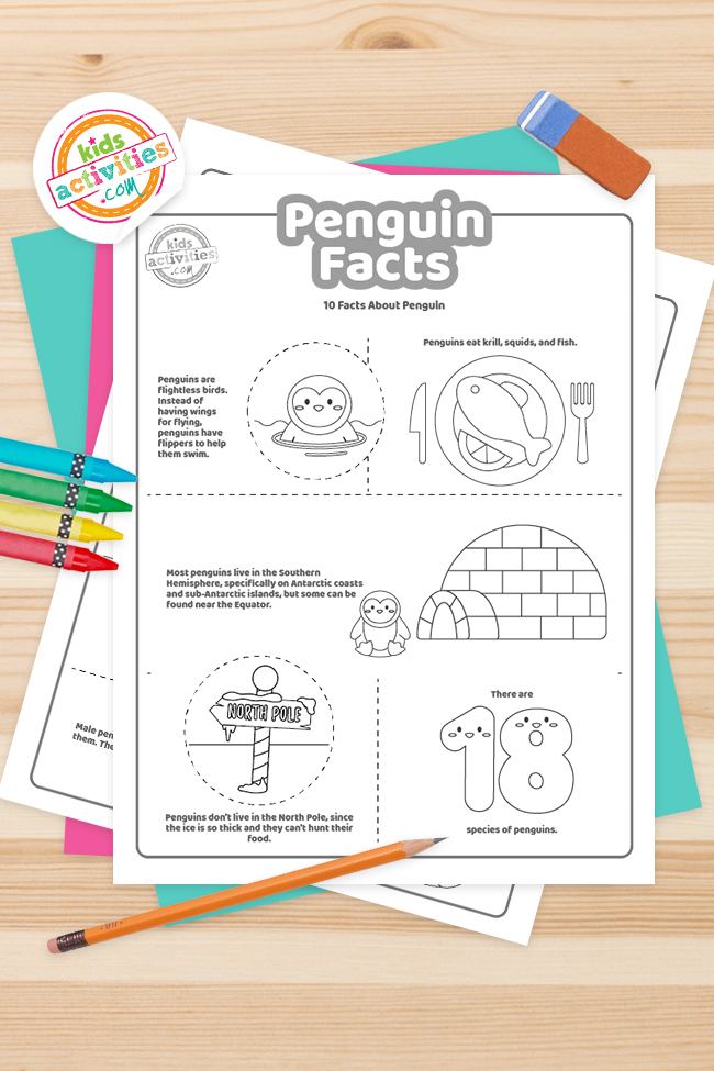 Printable fun penguin facts for kids to print and learn kids activities blog