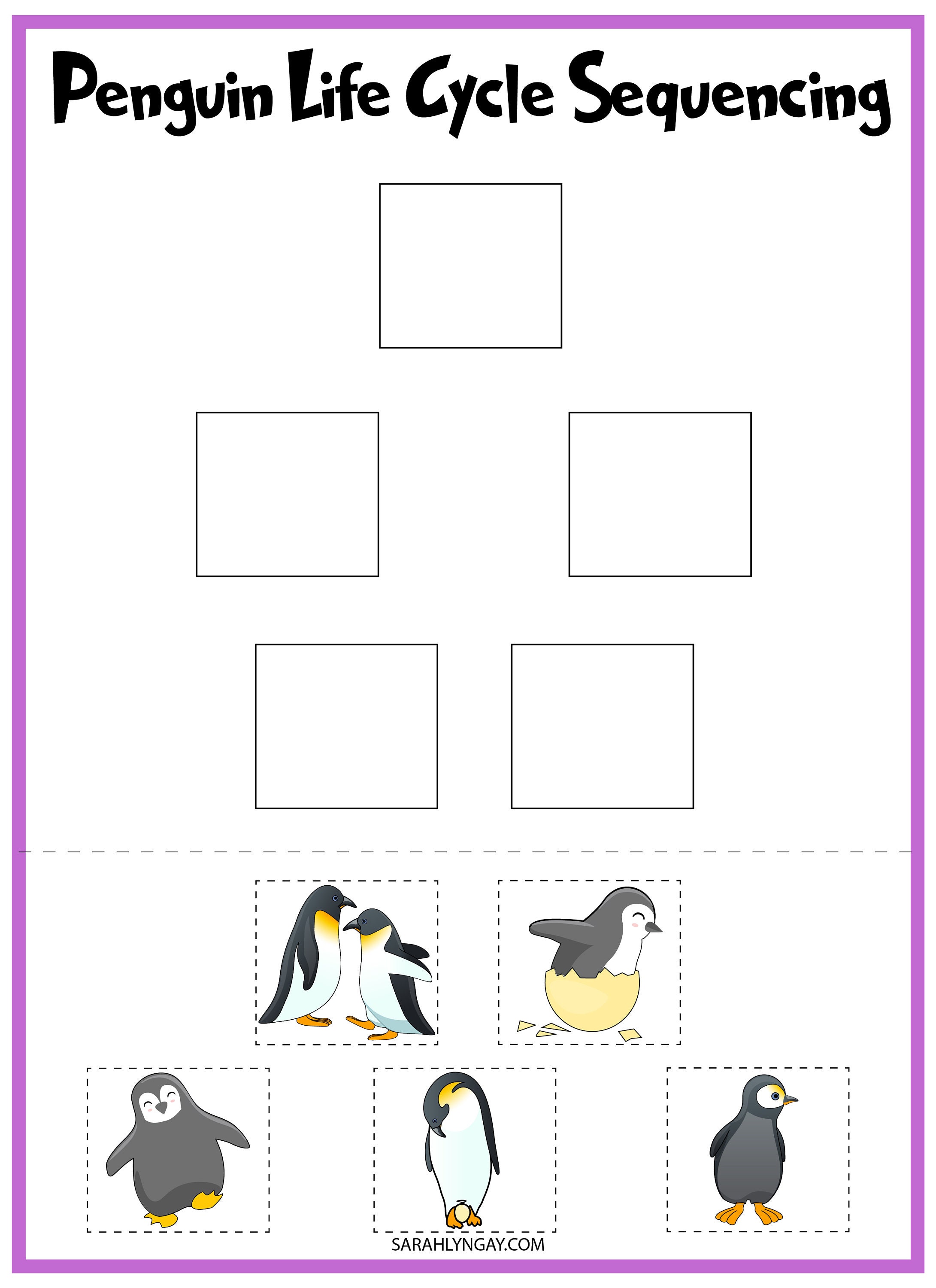 Penguin printables penguin life cycle birds all about penquins instant download stem workbook digital download kids workbook