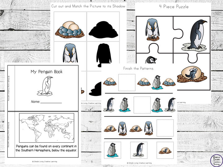 Penguin life cycle printable pack