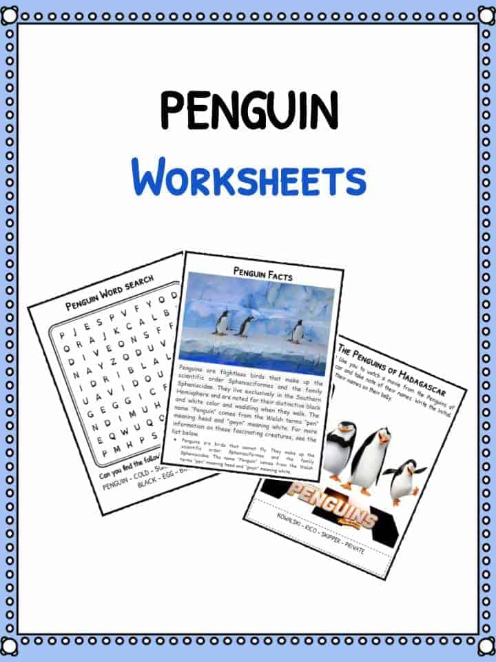 Penguin facts worksheets habitat species diet for kids