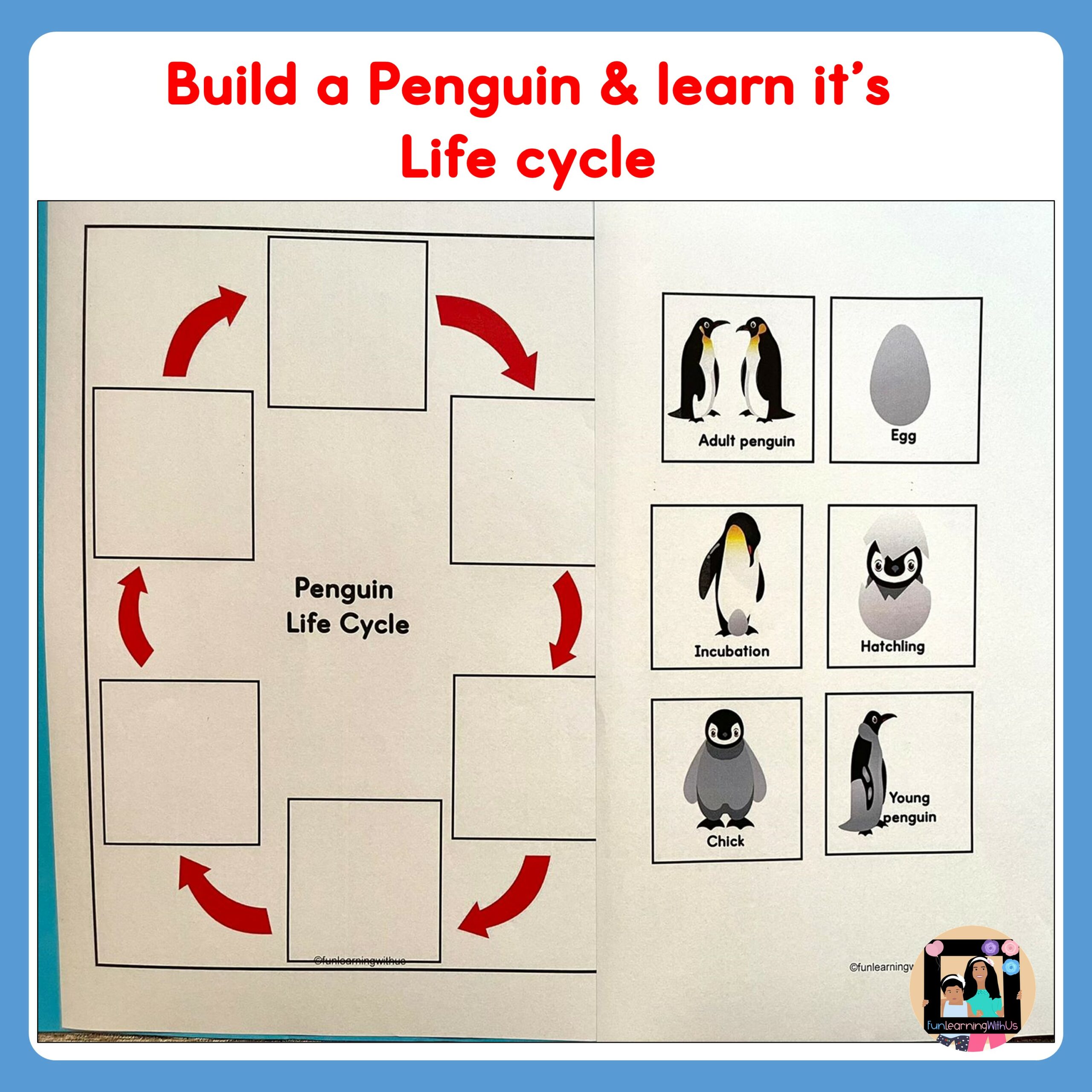 Penguin life cycle activity polar animal activity made by teachers