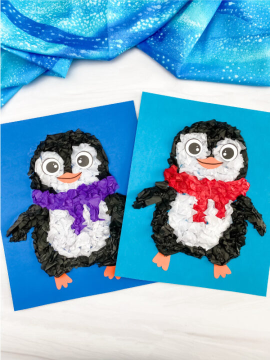 Penguin tissue paper craft for kids free template