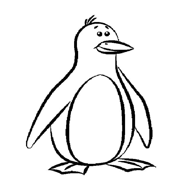 Penguin