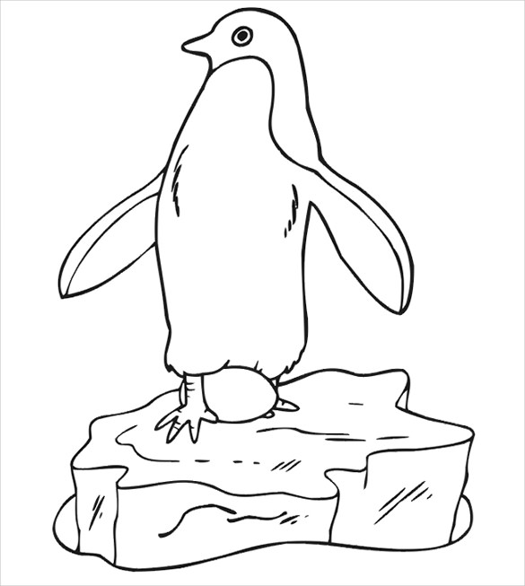 Penguin