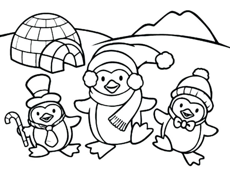 Penguin coloring pages pdf for children