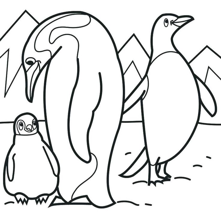 Penguin coloring pages pdf for children