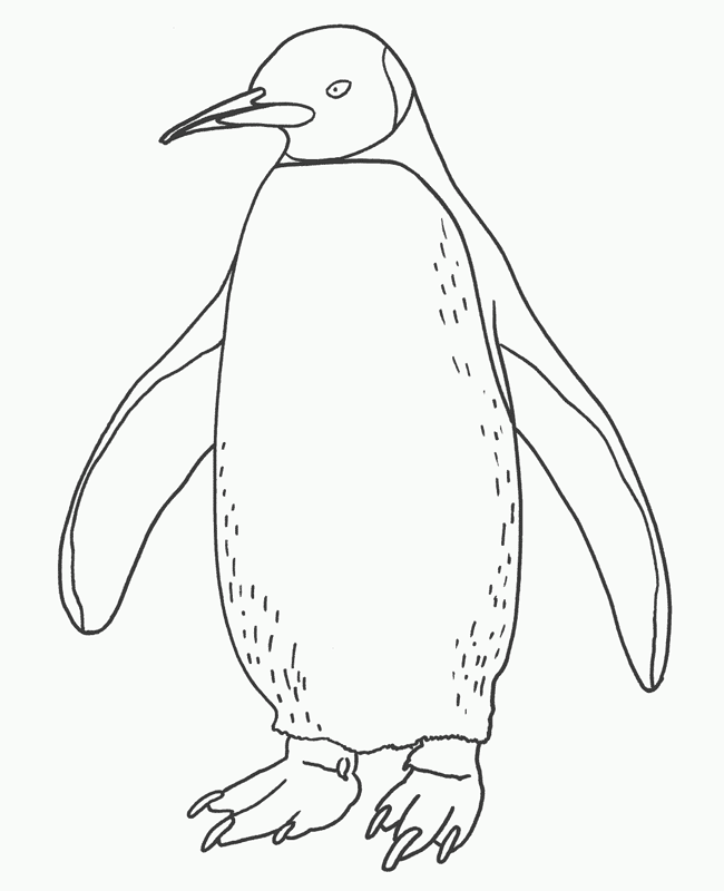 Free printable penguin coloring pages for kids