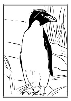 Explore the aquatic world of penguins with our printable coloring pages pdf