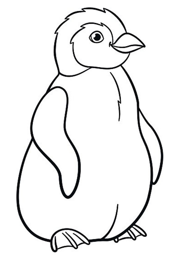 Coloring pages penguin coloring pages free printable