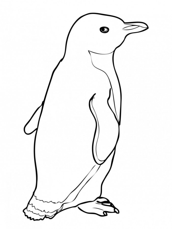 Free printable penguin coloring pages for kids