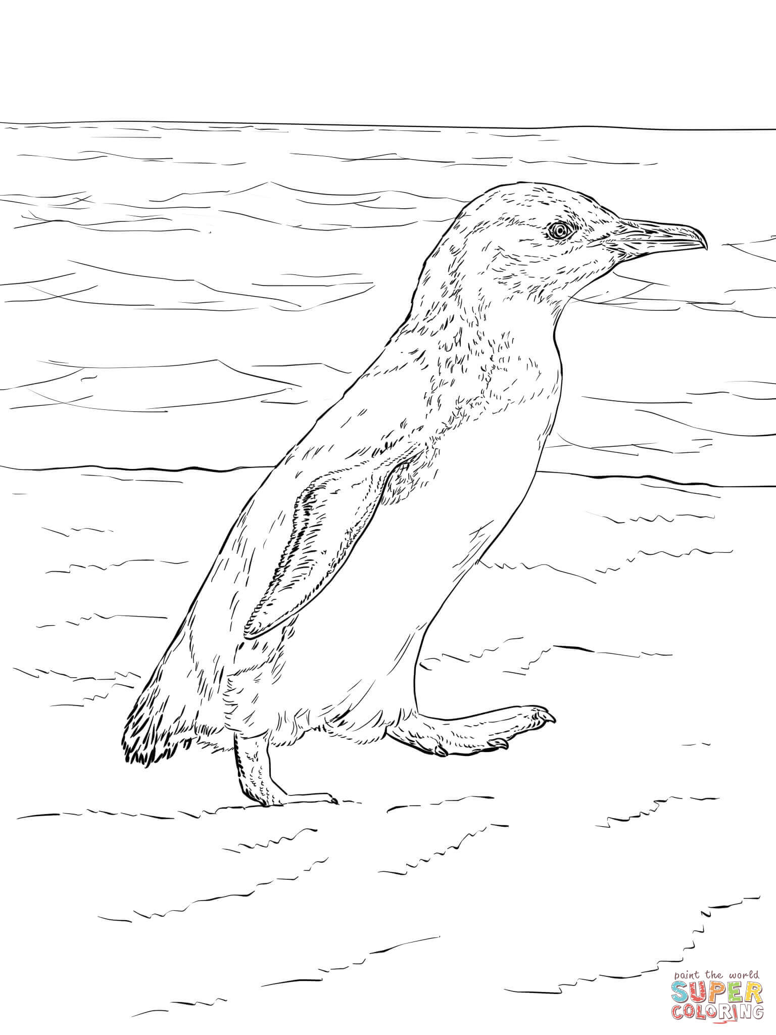 Little blue penguin walks coloring page free printable coloring pages