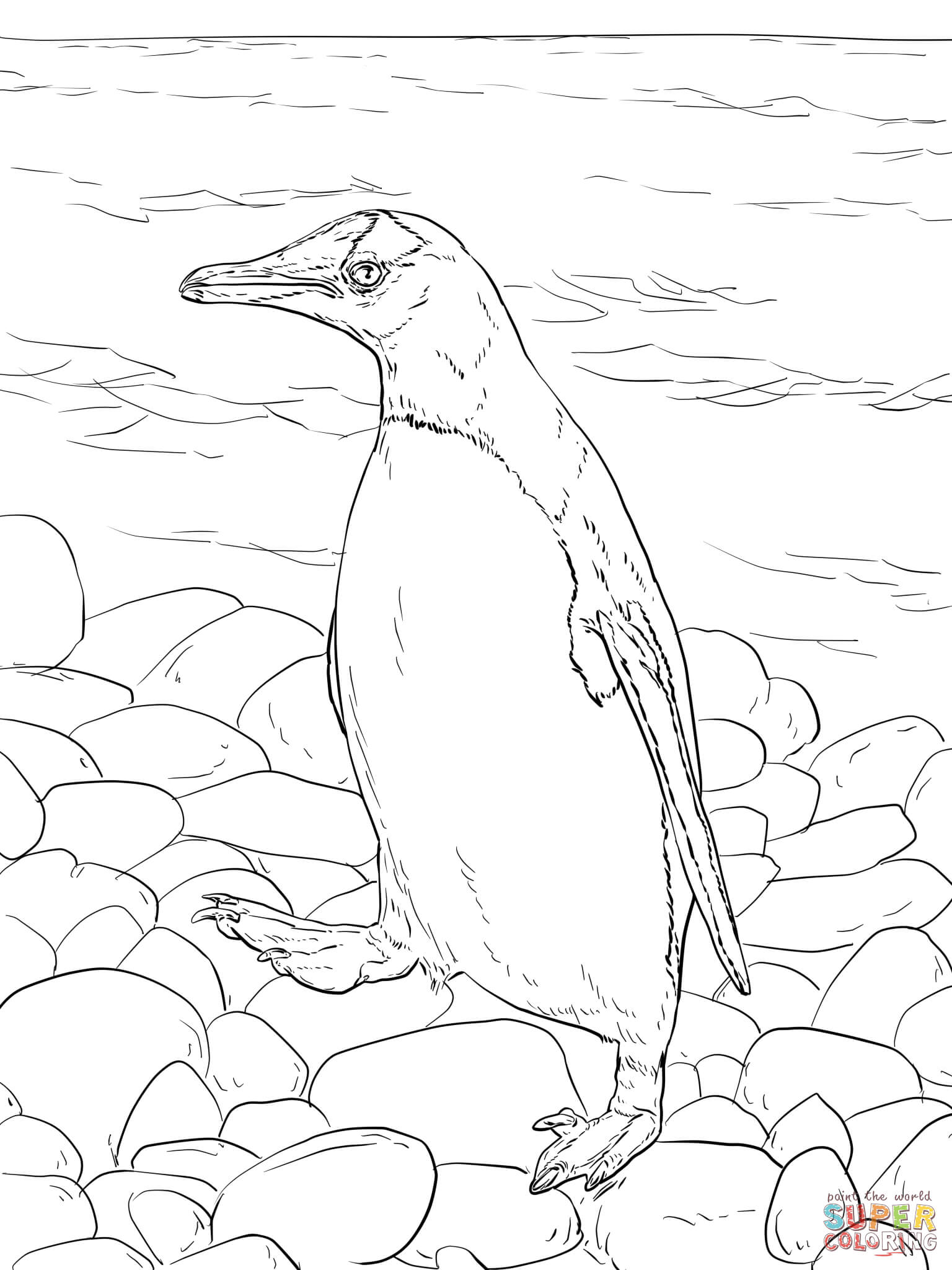 Gentoo penguin walks coloring page free printable coloring pages