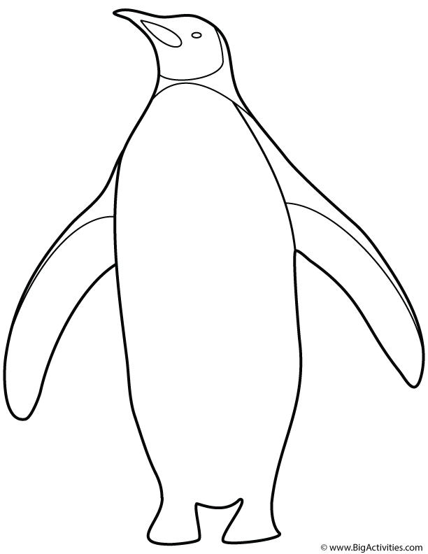 Penguin