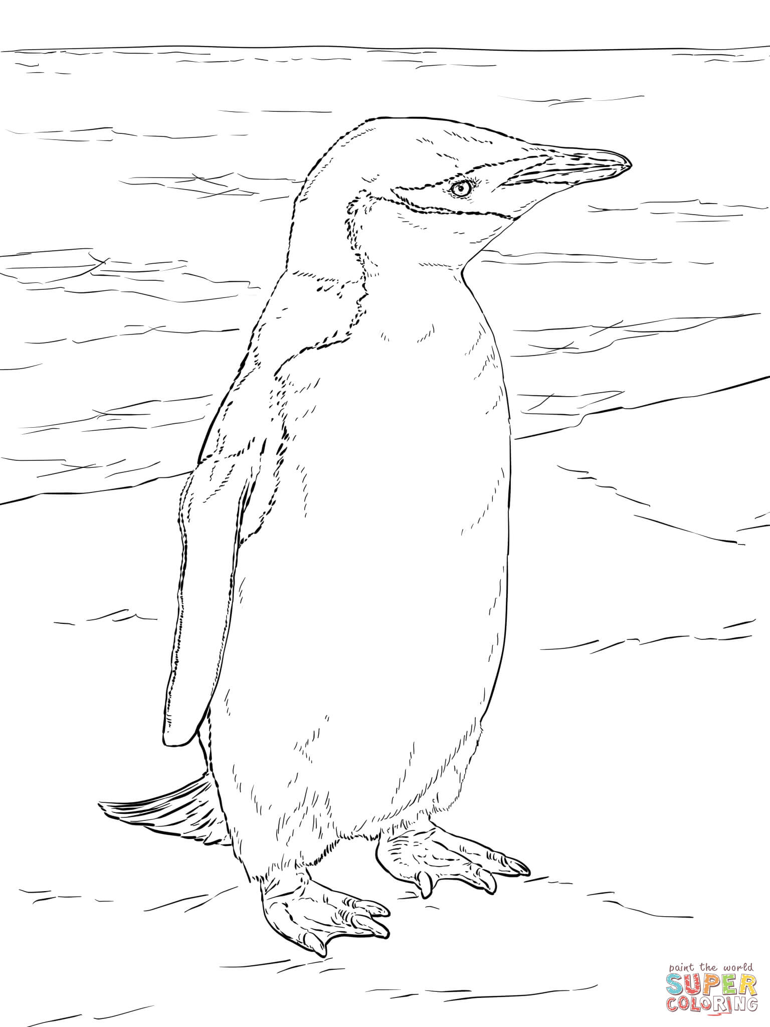 Realistic chinstrap penguin coloring page free printable coloring pages