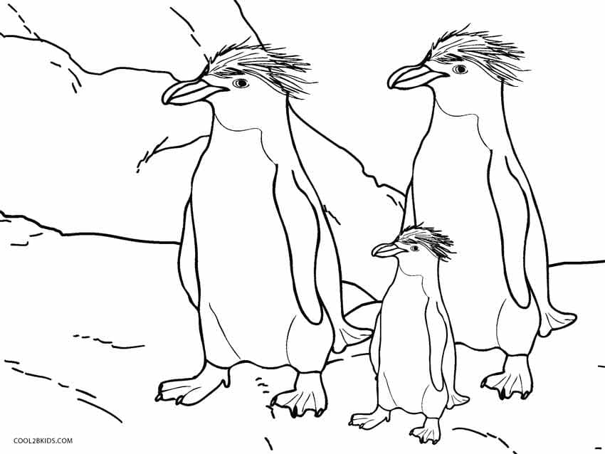 Three penguins image coloring page