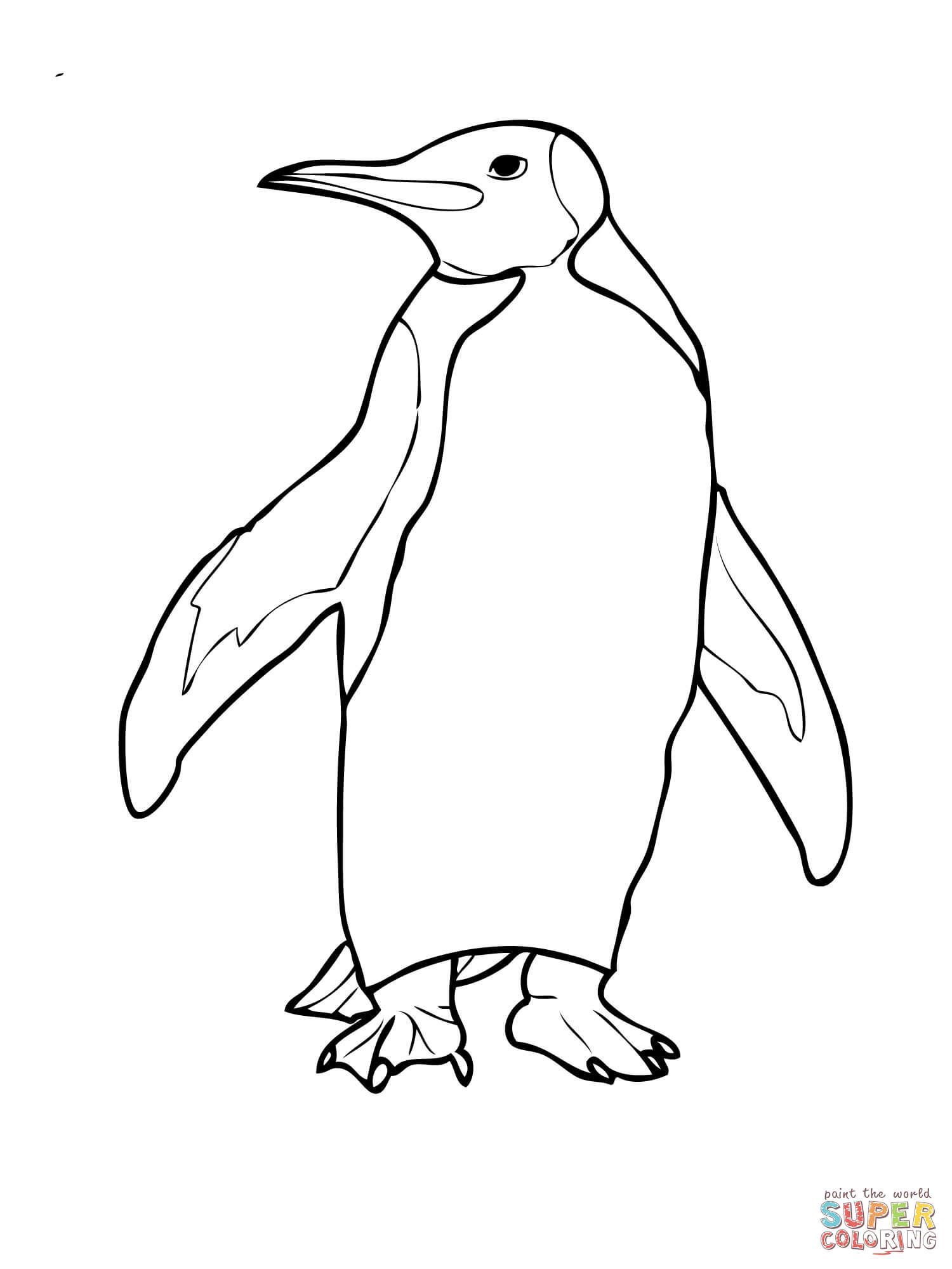 King penguin coloring page penguin coloring bird coloring pages penguin coloring pages