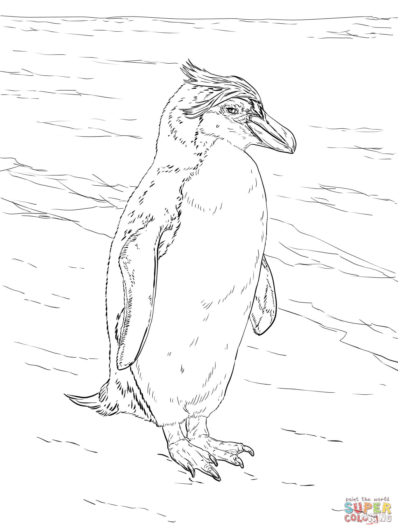 Realistic royal penguin coloring page free printable coloring pages