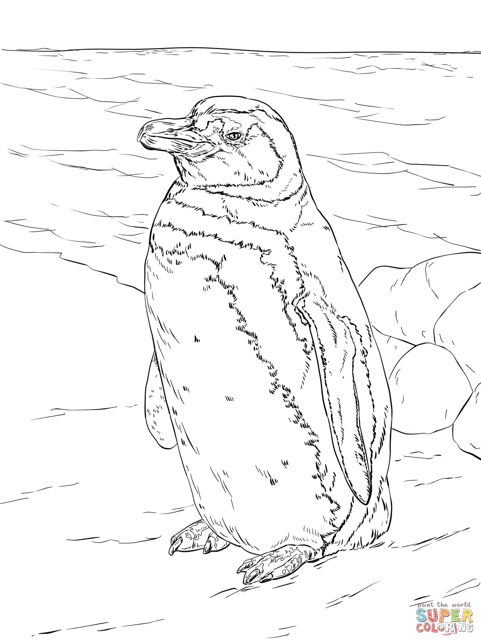 Realistic magellanic penguin coloring page free printable coloring pages