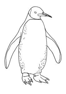 Penguins