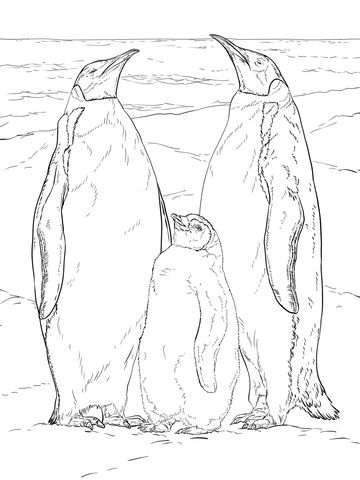 Emperor penguin family coloring page free printable coloring pages penguin coloring pages penguin coloring family coloring pages