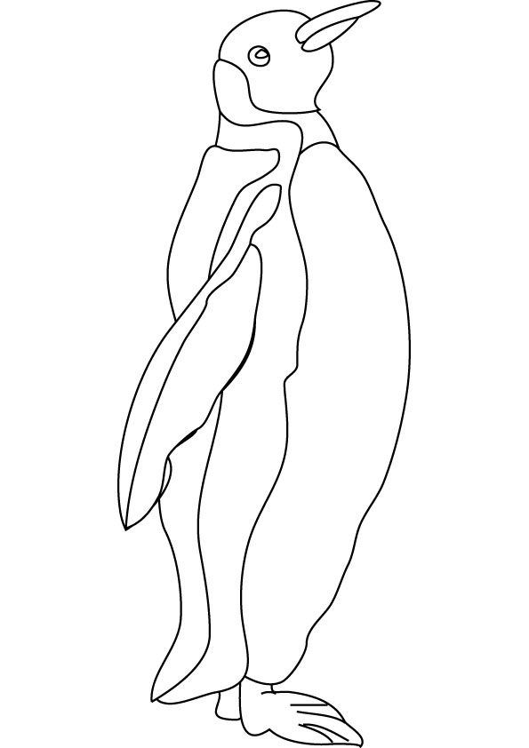 Free printable penguin coloring pages for kids