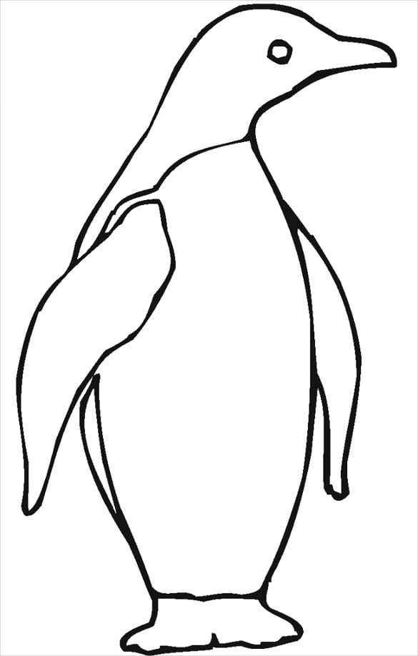 Penguin