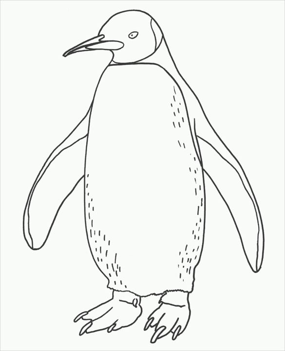 Penguin