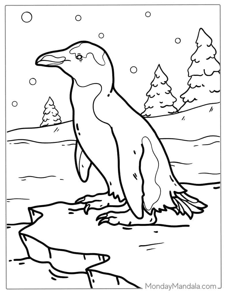 Penguin coloring pages free pdf printables