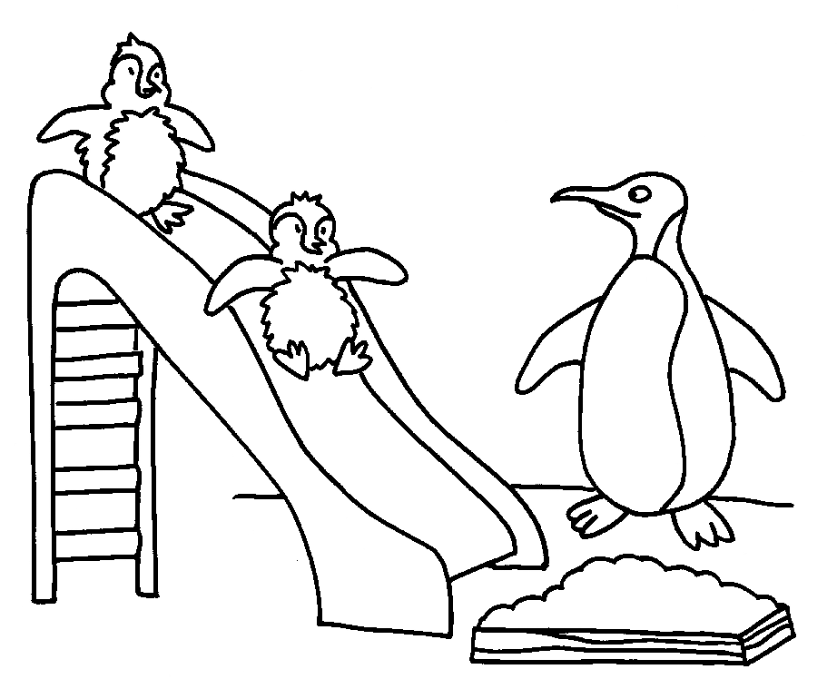 Free printable penguin coloring pages for kids