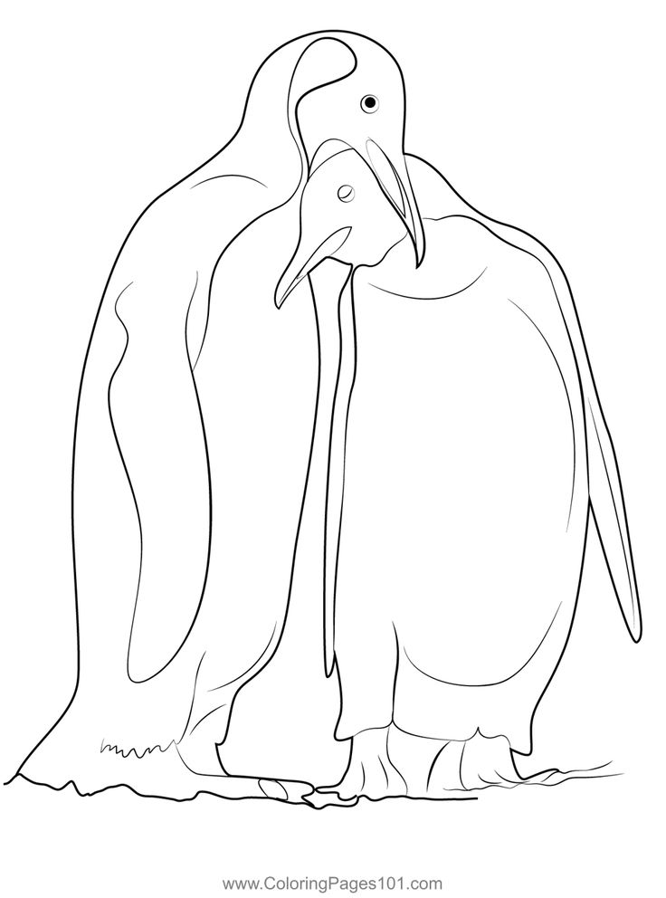 Penguin love coloring page penguin coloring pages love coloring pages penguin love