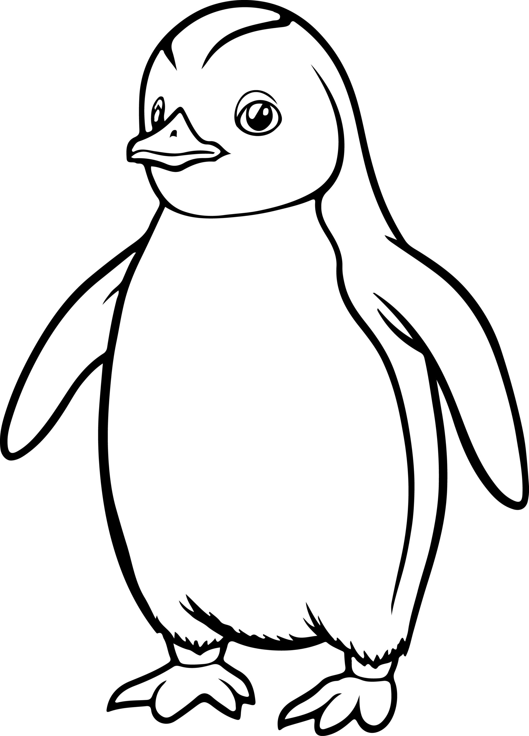 Penguin coloring book