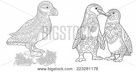 Coloring page adult vector photo free trial bigstock