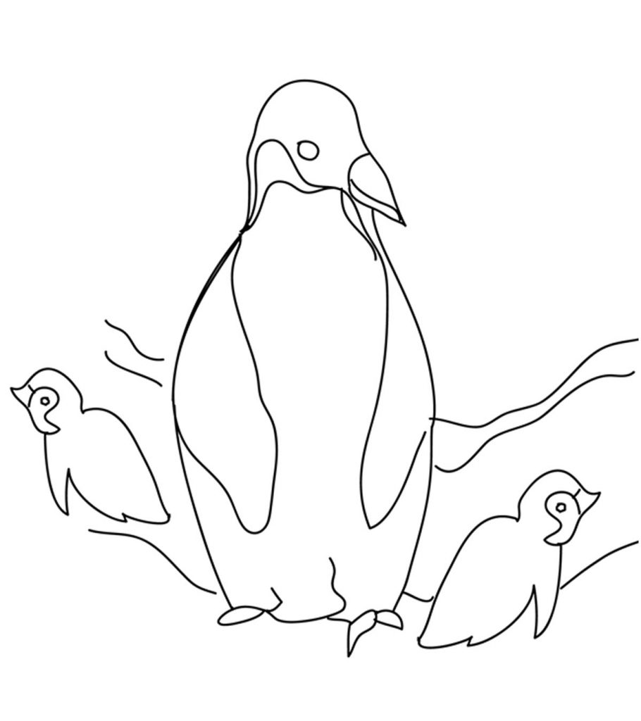 Penguin coloring pages