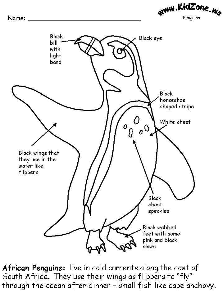 Penguin facts coloring book page