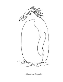 Macaroni penguin coloring page by mama draw it tpt