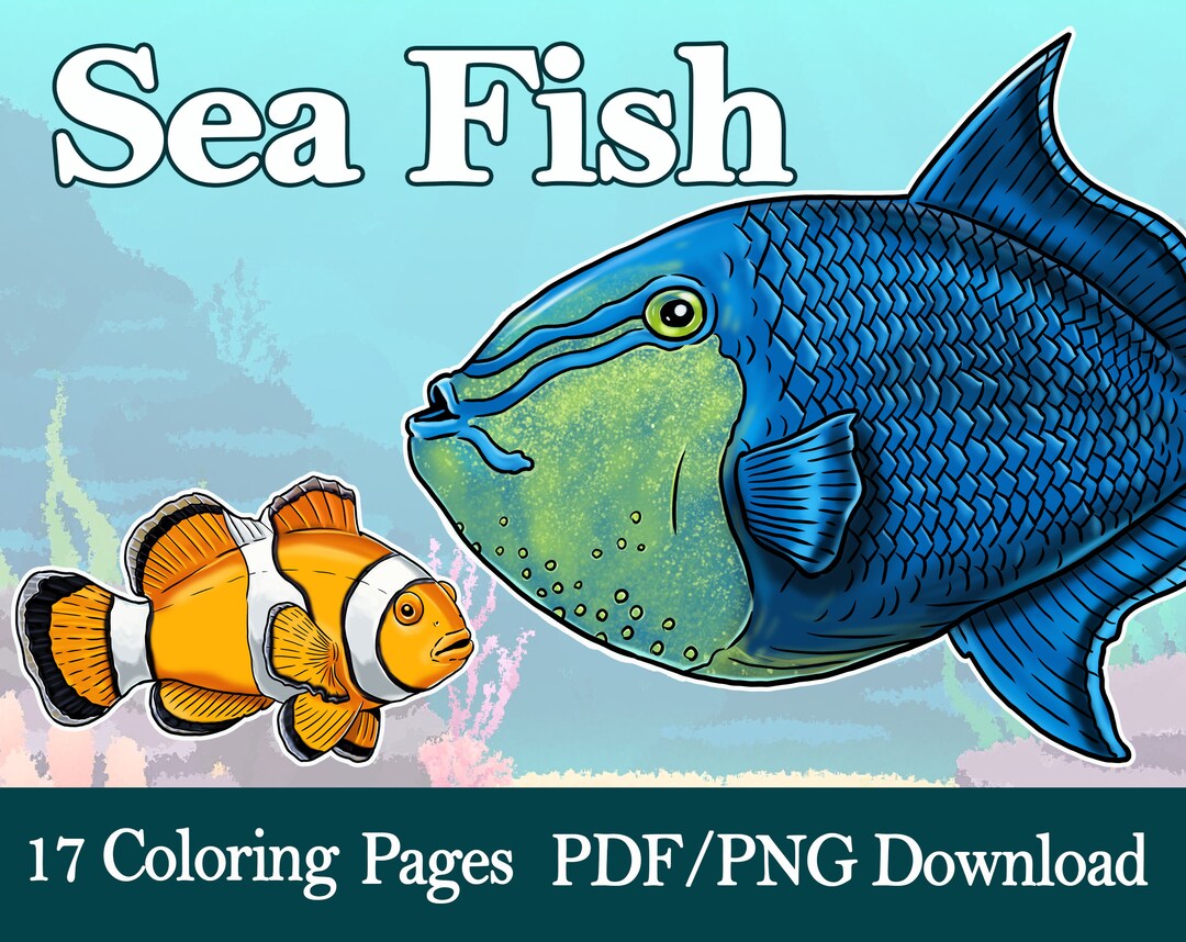 Sea fish for kids and adults coloring pages with saltwater fish and animals to color in